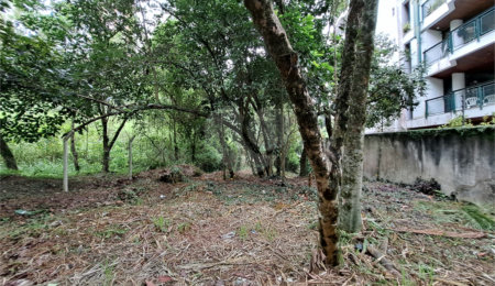 Terreno à venda em Jardim Ampliação, São Paulo, SP