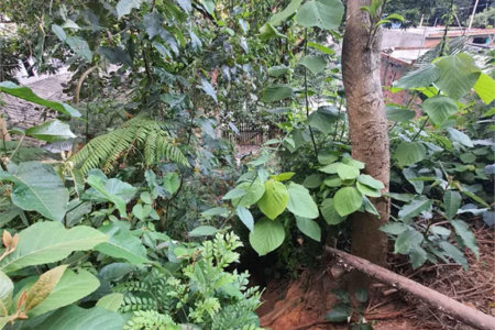 Loteamento à venda em Jardim Amália, São Paulo, SP
