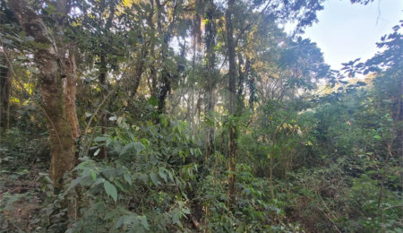 Terreno à venda no condomínio Alpes da Cantareira, Mairiporã - SP