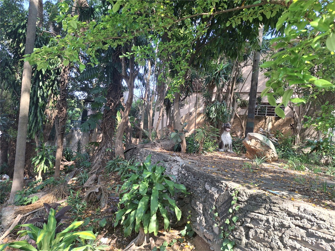 Terreno à venda com 1 quarto em Sumaré, São Paulo, SP