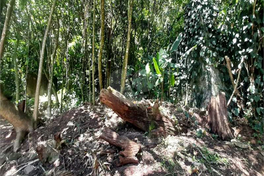 Terreno à venda em Serra da Cantareira, Mairiporã, SP