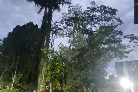 Sobrado à venda com 3 suítes em Nova Petrópolis, São Bernardo do Campo, SP