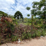 Terreno à venda em Jardim Moraes Rosa, Itapetininga, SP