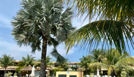 Casa em condomínio à venda com 1 quarto em Geribá, Armação dos Búzios, RJ