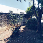 Terreno à venda com 2 quartos em Vila Nova Cachoeirinha, São Paulo, SP