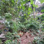 Loteamento à venda em Jardim Amália, São Paulo, SP