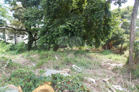 Terreno à venda em Jardim Paulista, Atibaia, SP