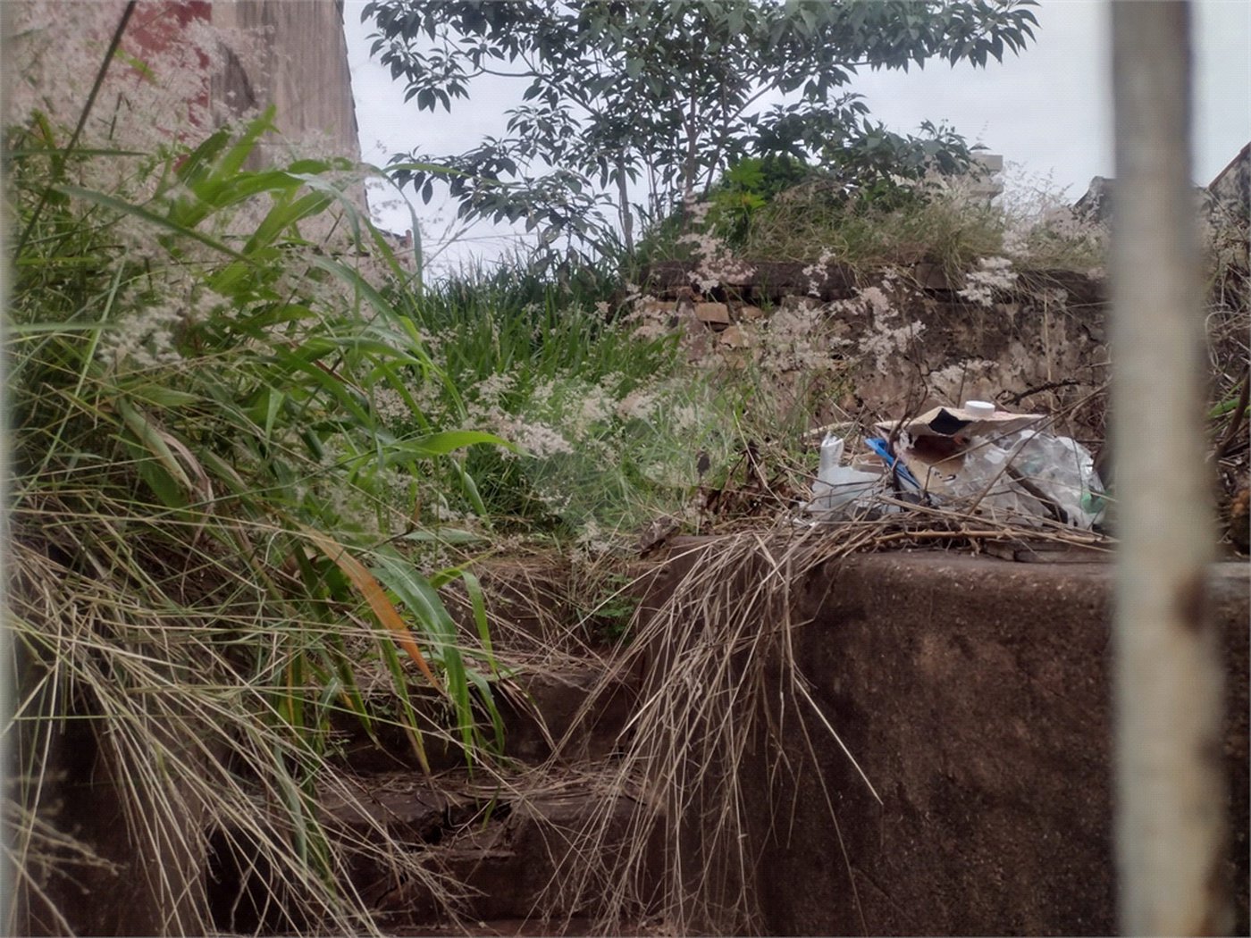 Terreno com 421 m², localizado no centro de São Carlos