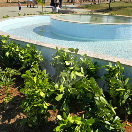 Terreno à venda no Centro, Araraquara, SP