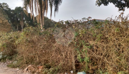 Terreno à venda em Jardim São João (zona Norte), São Paulo, SP
