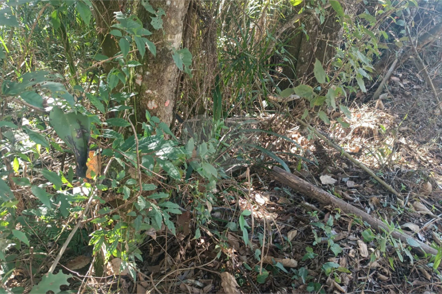 Terreno à venda no condomínio Sausalito, Mairiporã - SP