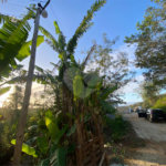 Terreno à venda em Albatroz, Armação dos Búzios, RJ