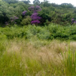 Loteamento à venda em Jardim Paulista, Atibaia, SP