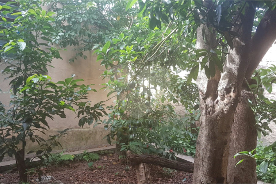 Sobrado à venda com 3 quartos, sendo 1 suíte, em Vila Nova Cachoeirinha, São Paulo, SP