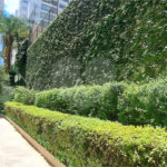 Apartamento para alugar com 3 quartos, sendo 1 suíte, em Jardim Paulista, São Paulo, SP