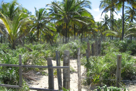 Área de Terra à venda em Mogiquiçaba, Belmonte, BA