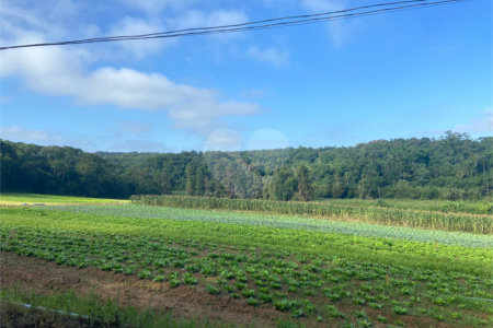 Terreno à venda em Parque Santa Rosa, Suzano, SP