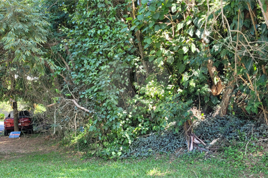 Terreno à venda no condomínio Associação Reserva das Hortênsias, Mairiporã - SP