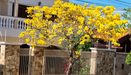 Casa à venda ou para alugar com 3 suítes em Parque Campolim, Sorocaba, SP