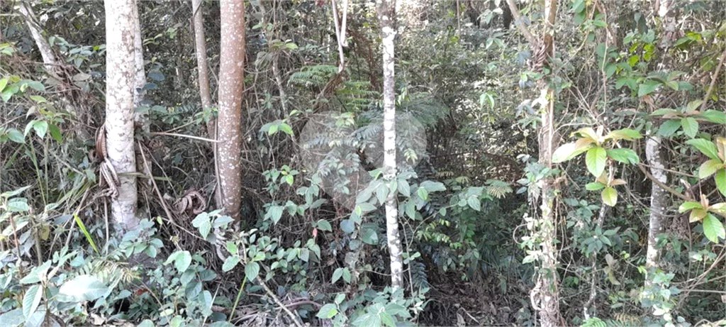 Terreno à venda em Roseira, Mairiporã, SP
