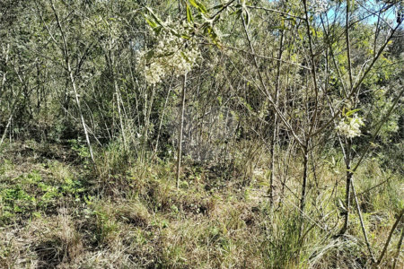 Sítio à venda com 3 quartos, sendo 1 suíte,  em Da Barra, Salto de Pirapora, SP