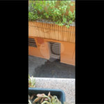 Casa à venda com 3 quartos em Parada Inglesa, São Paulo, SP