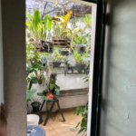 Casa à venda com 5 quartos, sendo 2 suítes,  em Vila Maria Alta, São Paulo, SP