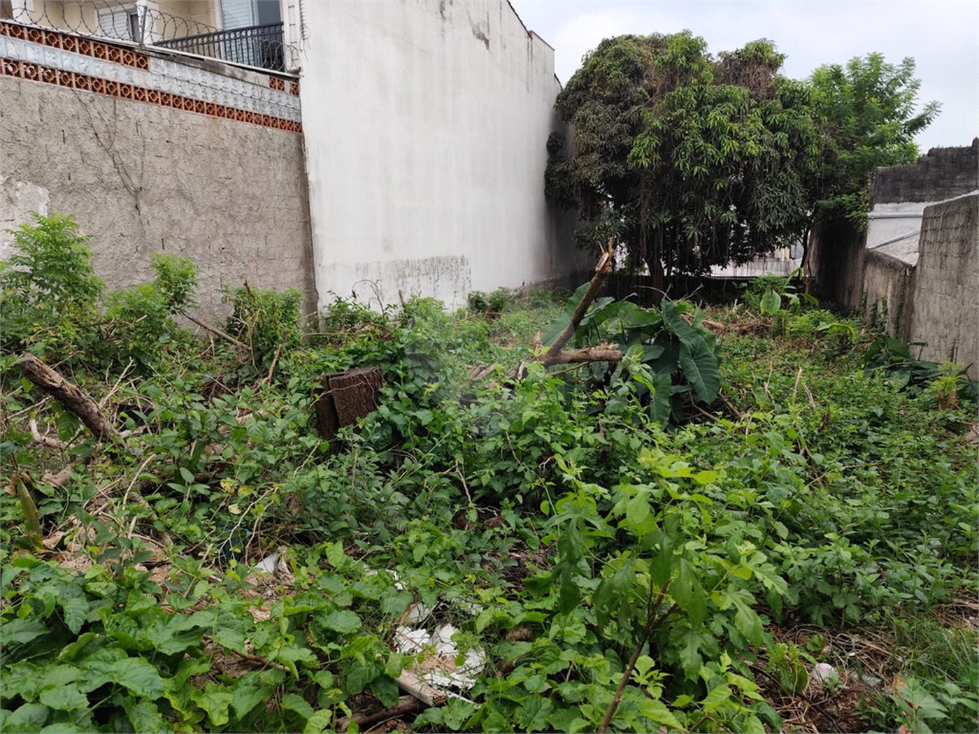 Terreno à venda com 1 suíte em Vila Constança, São Paulo, SP
