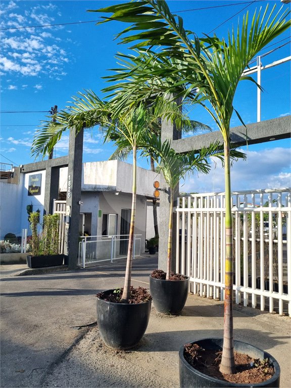 Terreno à venda no condomínio Vivendas do Coqueiral, Rio de Janeiro - RJ