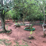Chácara à venda com 2 quartos em Área Rural de Itapetininga, Itapetininga, SP