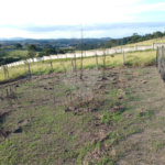 Terreno à venda em Jardim Aracy, Mogi das Cruzes, SP