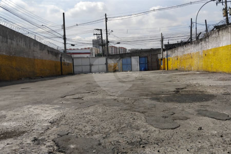 Terreno para alugar em Jardim Ivana, São Paulo, SP