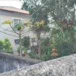 Terreno à venda com 4 quartos em Santana, São Paulo, SP