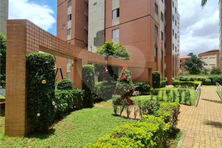 Apartamento à venda com 3 quartos, sendo 1 suíte, em Cambuci, São Paulo, SP
