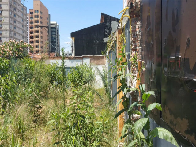 Terreno à venda ou para alugar em Chácara Santo Antônio, São Paulo, SP