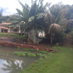 Chácara à venda com 3 quartos, sendo 1 suíte, em Chácara Flora Araraquara, Araraquara, SP