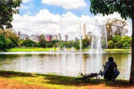 Apartamento à venda com 3 suítes em Indianópolis, São Paulo, SP