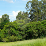 Terreno à venda em Bela Vista, Salto, SP