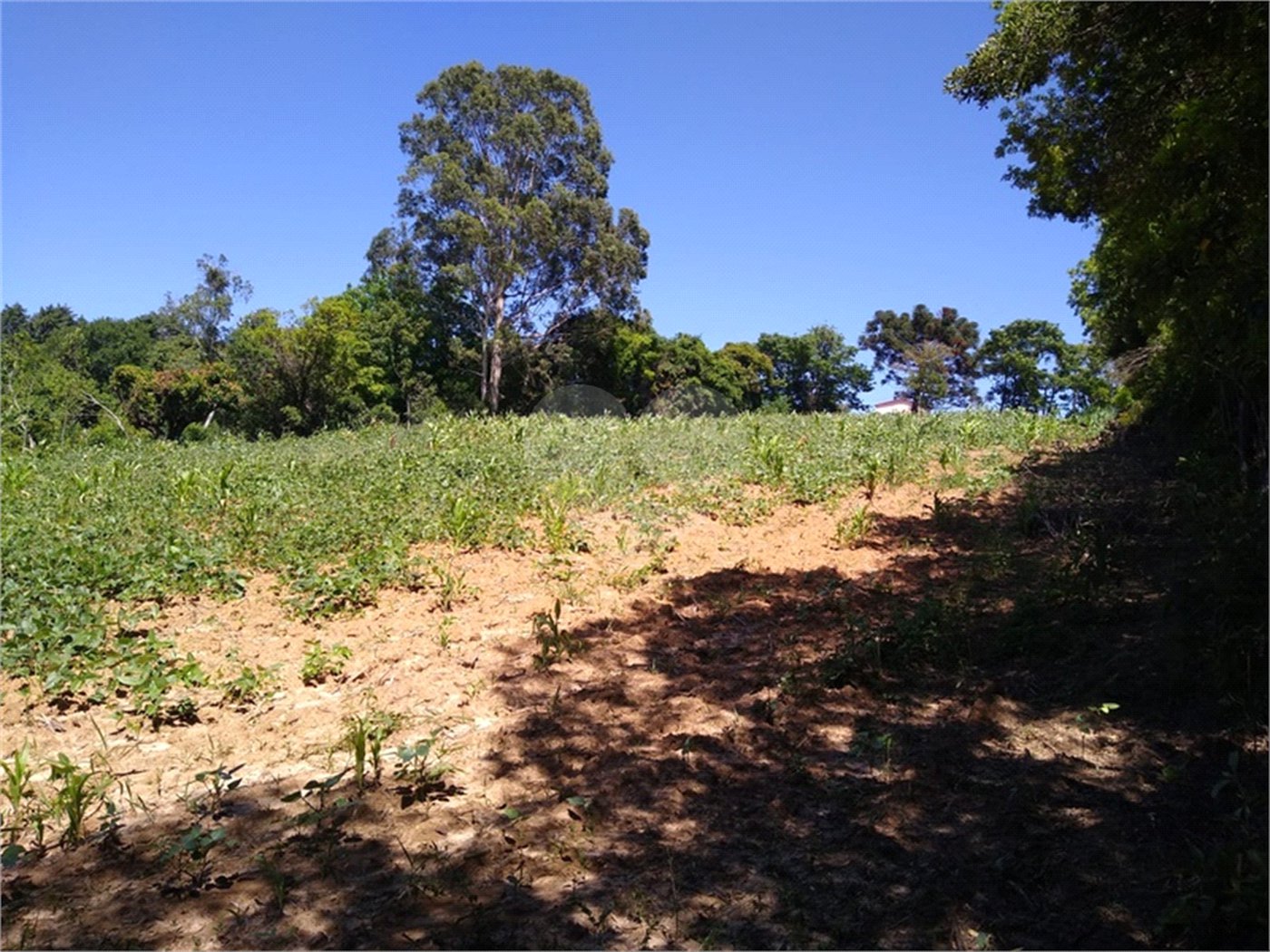 Área de Terra à venda em Cristóvão, Araçoiaba da Serra, SP