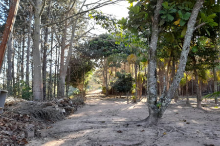 Sítio à venda no Centro, Salesópolis, SP