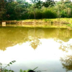 Fazenda à venda com 2 quartos em City Castello, Itu, SP