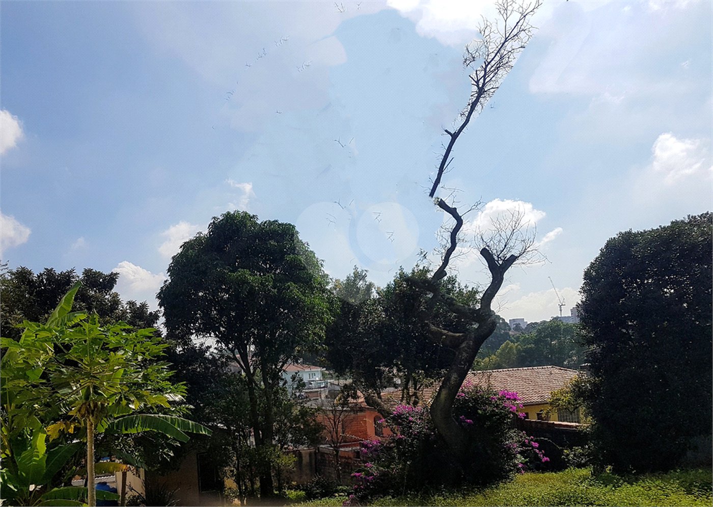 Terreno à venda em Jardim Prudência, São Paulo, SP