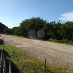 Terreno à venda em Vila Guilherme, São Paulo, SP