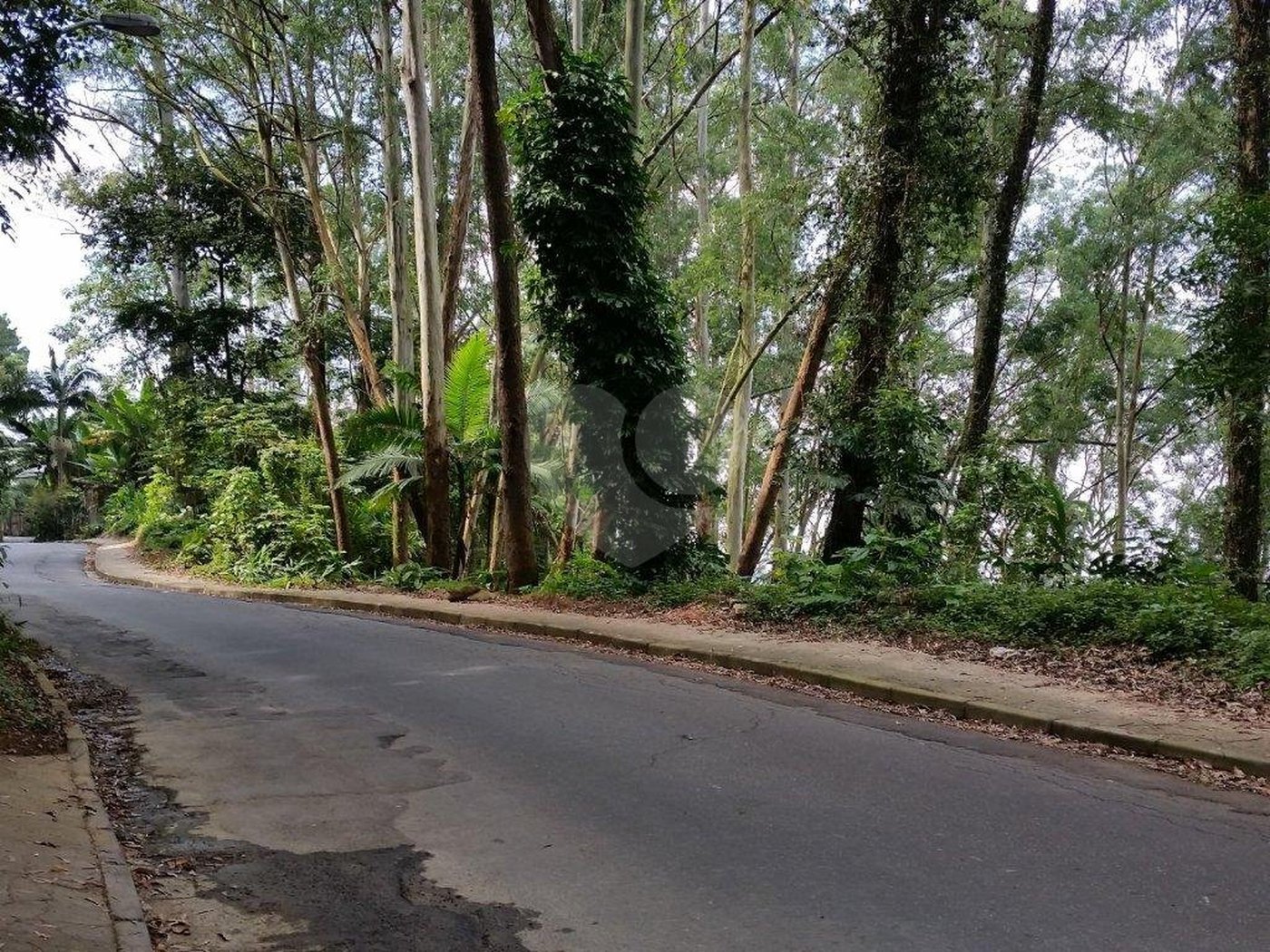 Terreno à venda em Tucuruvi, São Paulo, SP