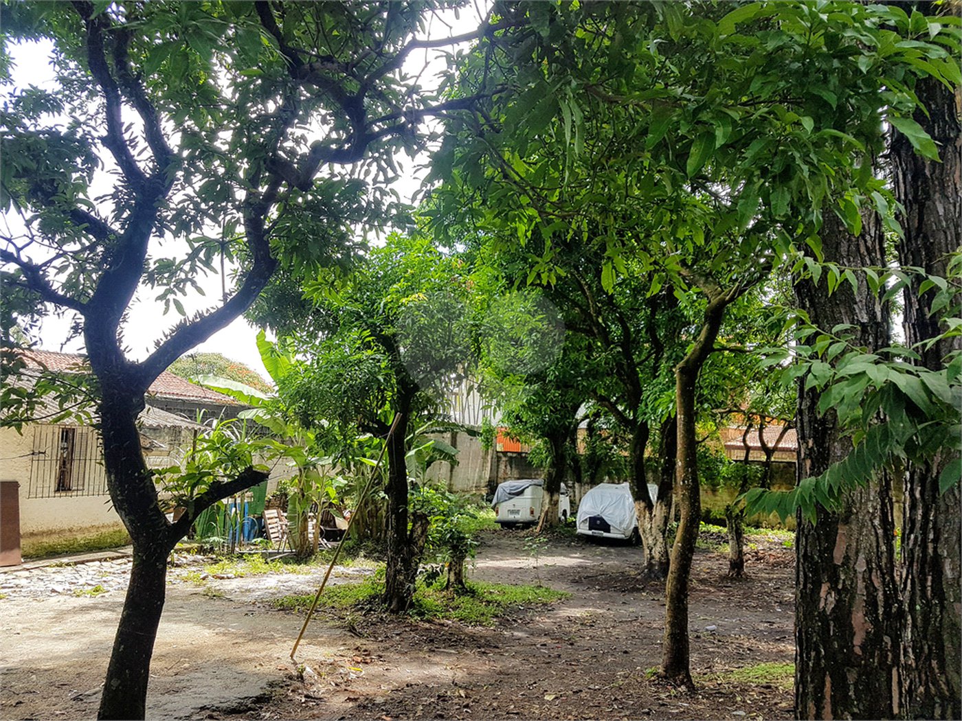Terreno à venda em Interlagos, São Paulo, SP