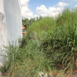 Terreno à venda em Jardim Planalto, Valinhos, SP