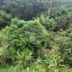 Terreno à venda em Parque Maringá, Arujá, SP