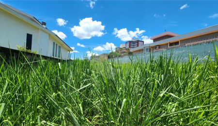 Terreno à venda em Parque Santa Mônica, São Carlos, SP