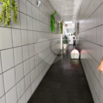 Sobrado à venda com 3 quartos, sendo 1 suíte, em Vila Nova Cachoeirinha, São Paulo, SP