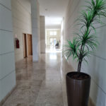 Apartamento para venda em Santana Zona Norte.